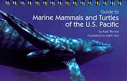 Marine Mammals of the Pacific